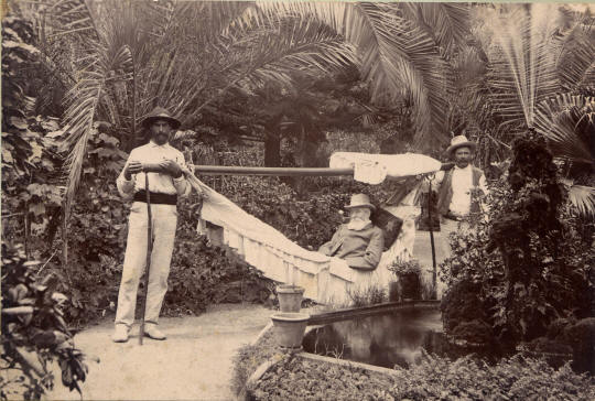 Robert Spence Watson convalescing in Teneriffe