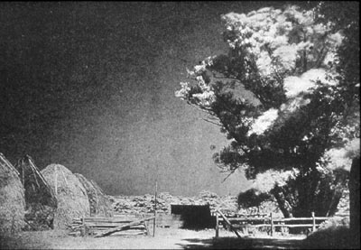 one of the first infrared photographs