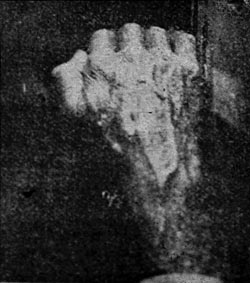 another of the first 3 photographs by ultra-violet radiation