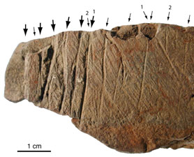 photo of the earliest two-dimensional art